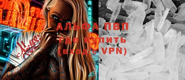 сатива Алзамай