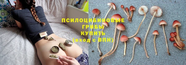 круглые Алексин