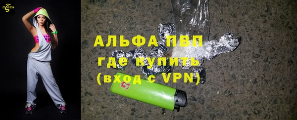 сатива Алзамай